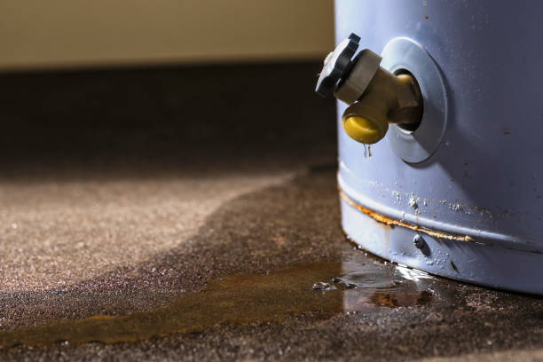 Best Flooded house restoration  in Miami Lakes, FL