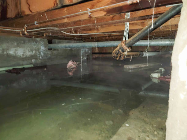 Reliable Miami Lakes, FL Water damage restoration Solutions