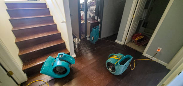 Best Water damage restoration specialists  in Miami Lakes, FL
