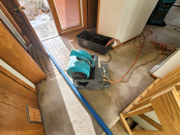 Best Sewage cleanup and water damage restoration  in Miami Lakes, FL