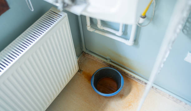Water damage restoration mold remediation in Miami Lakes, FL