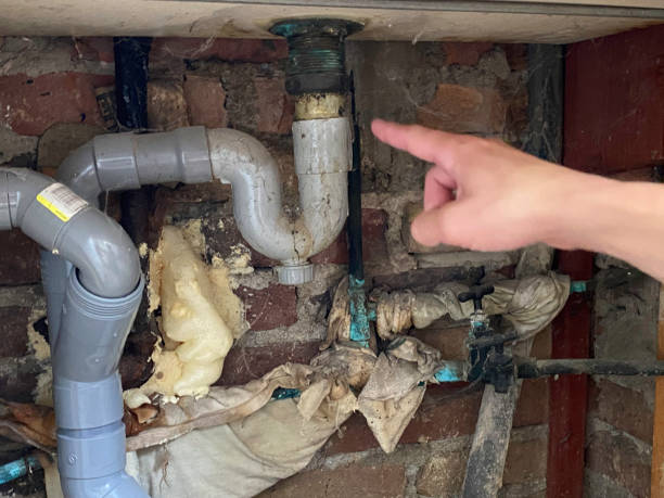 Best Water damage cleanup near me  in Miami Lakes, FL