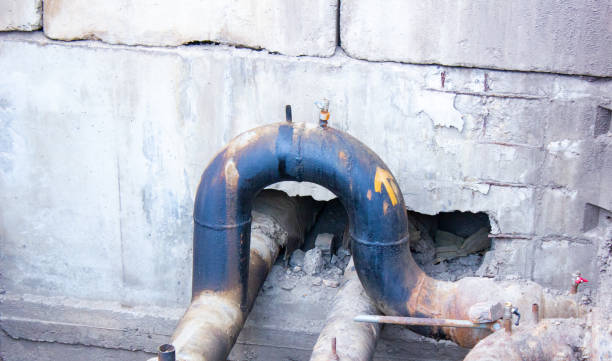 Best Flood restoration services  in Miami Lakes, FL